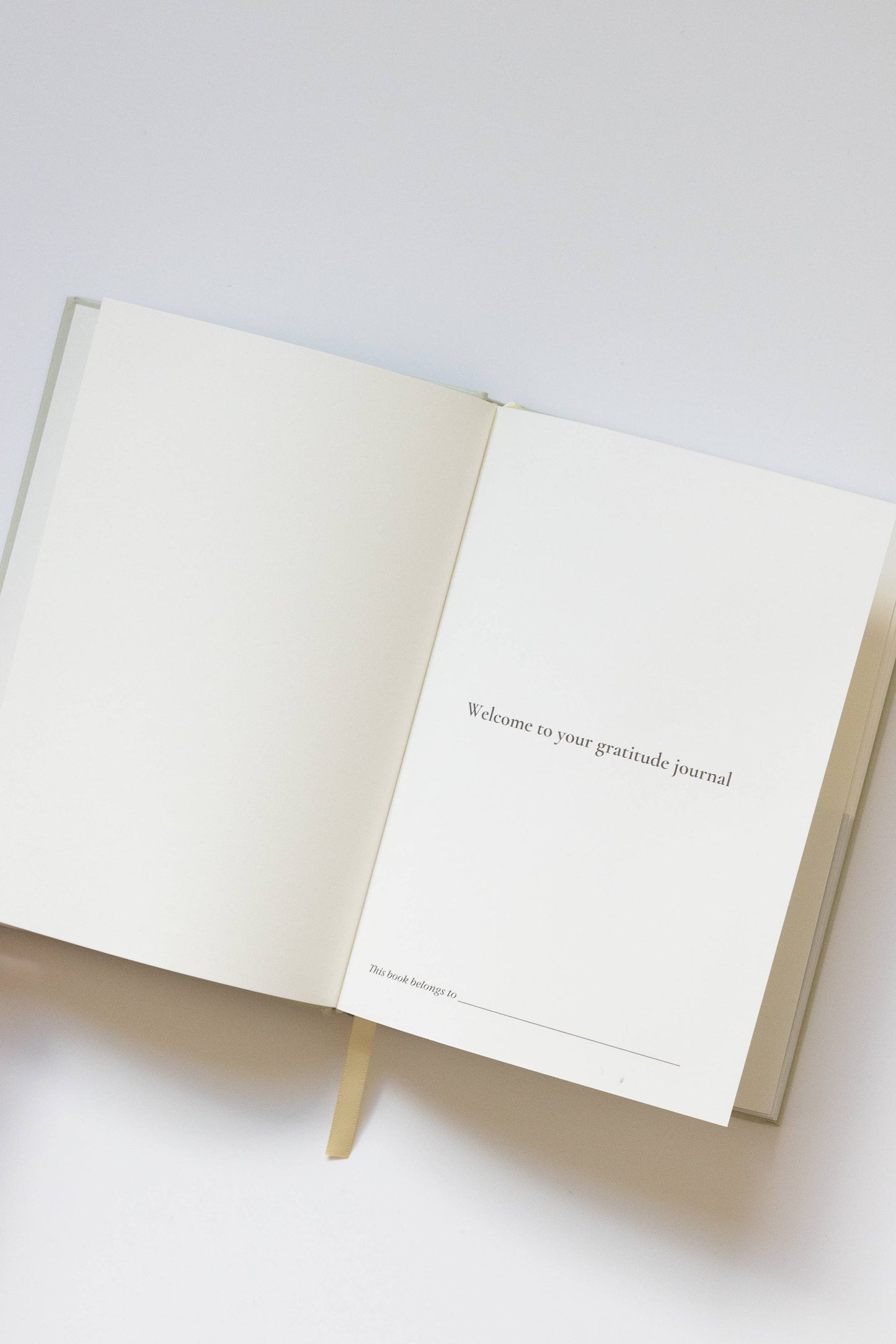 Gratitude Journal